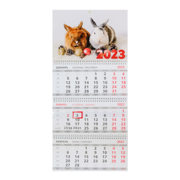 Календарь настенный 2023 Кролики белый и рыжий